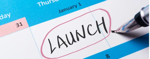 Web Application Development Company 24 launch