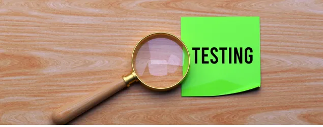 WordPress Website Design Company in India 33 testing launch